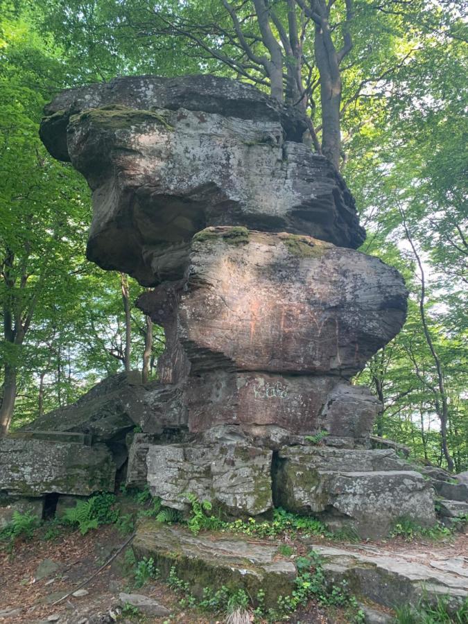Schronisko Gorskie Pttk Na Jaworzynie Krynickiej クリニツァ・ズドルイ エクステリア 写真